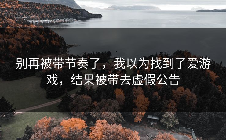 别再被带节奏了，我以为找到了爱游戏，结果被带去虚假公告