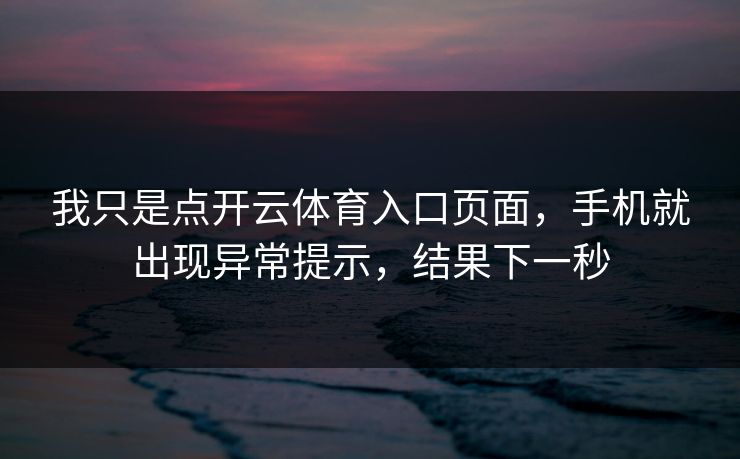 我只是点开云体育入口页面，手机就出现异常提示，结果下一秒
