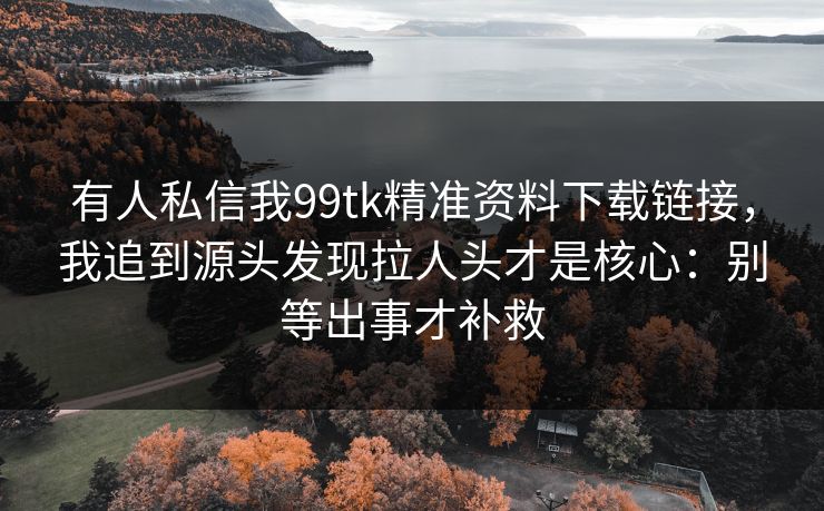 有人私信我99tk精准资料下载链接，我追到源头发现拉人头才是核心：别等出事才补救